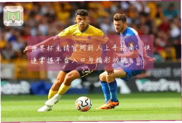 竟彩网新手怎么玩？快速上手指南