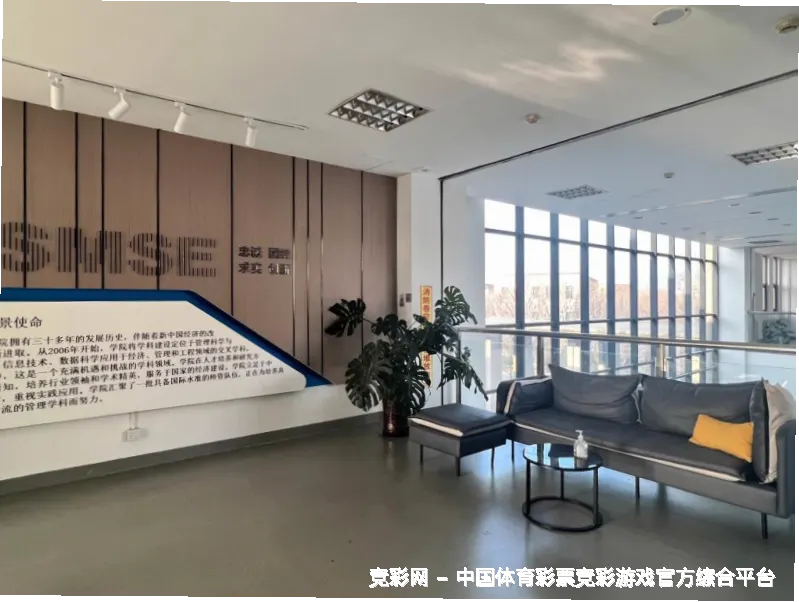 未来愿景与发展方向